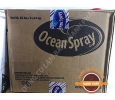 Mứt  Nam việt quất sấy khô  Ocean Spray 100gr